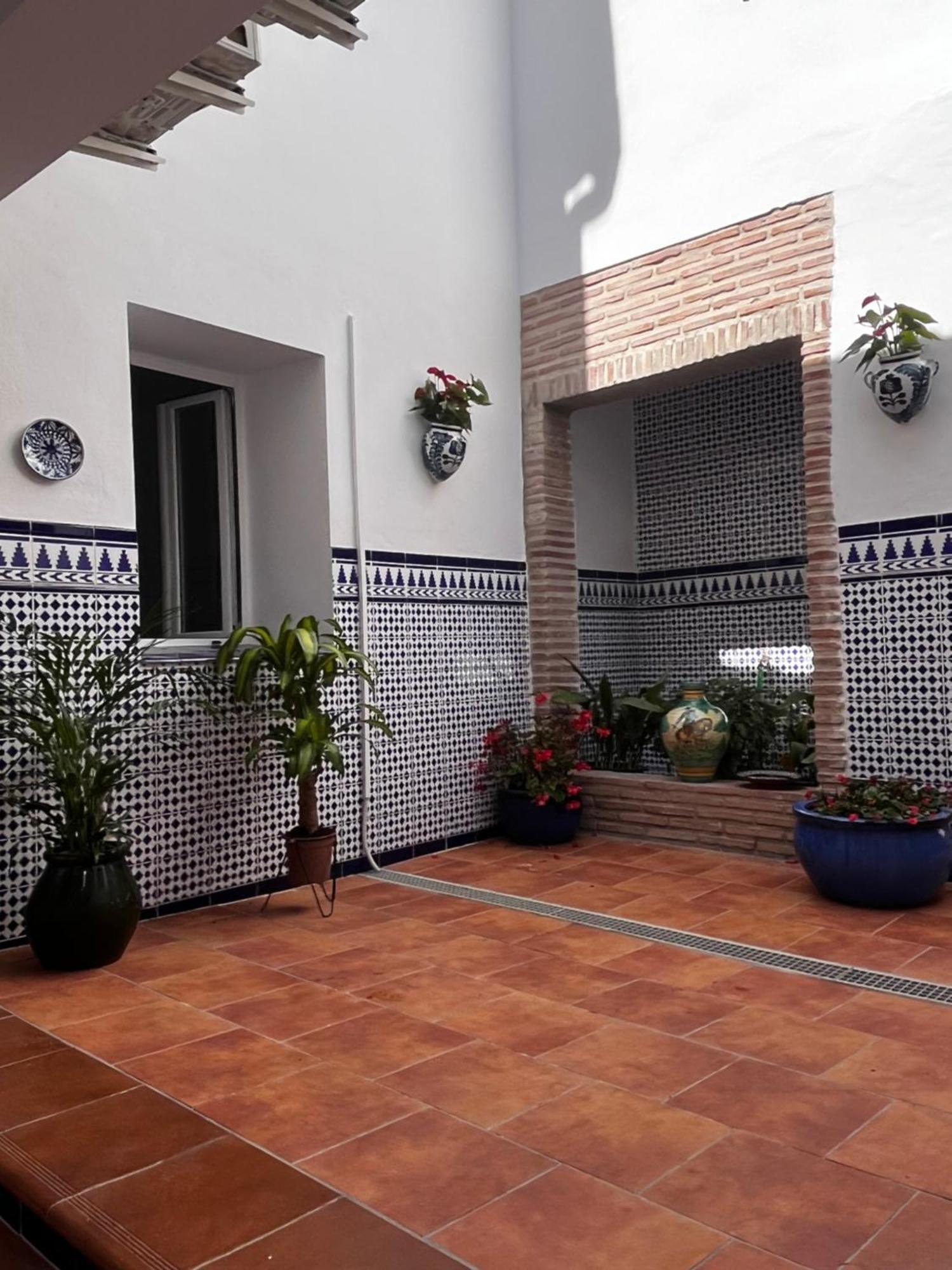 Shanti's Andalusian