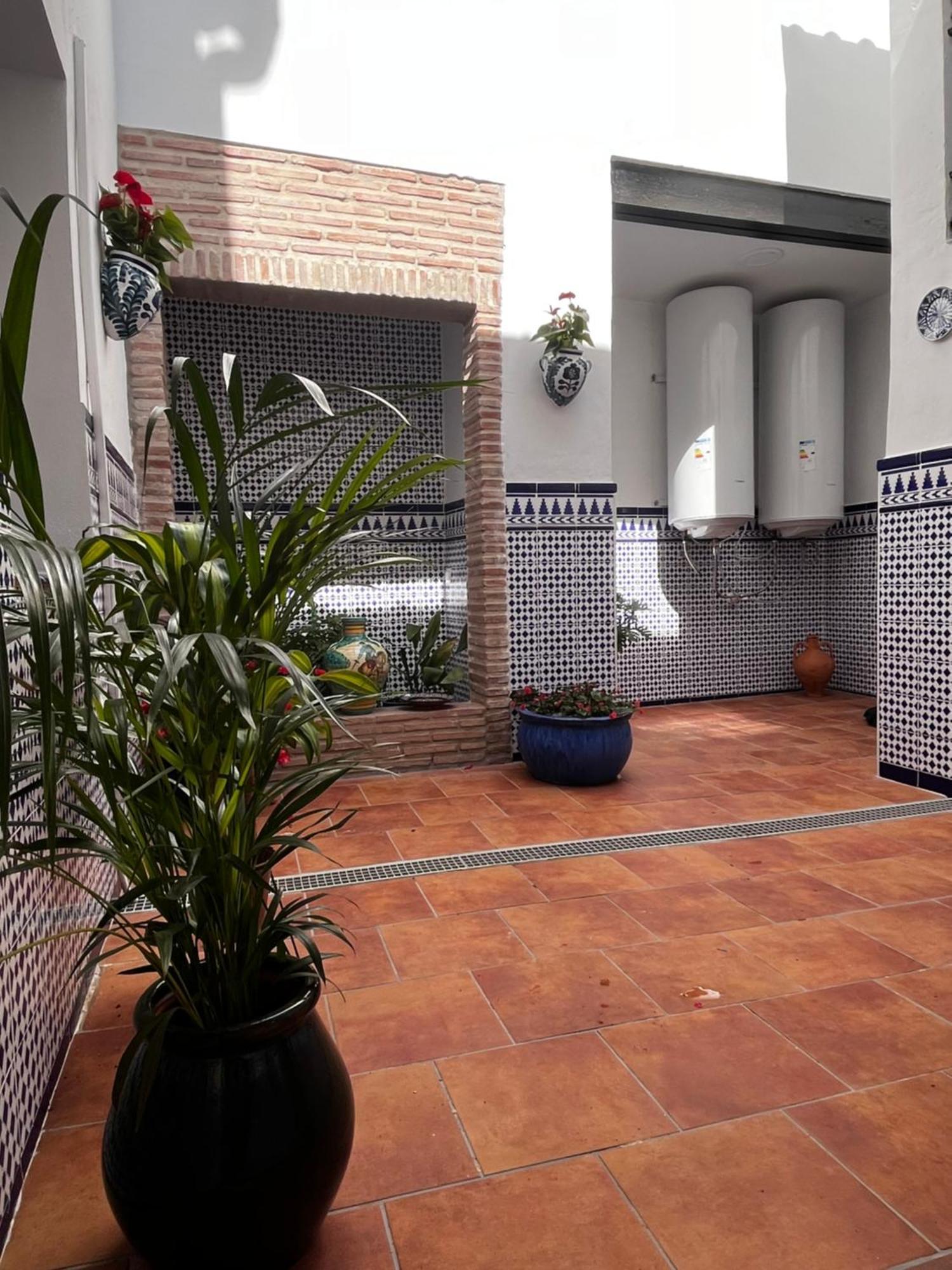 Shanti's Andalusian Málaga